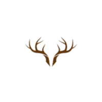 Antler